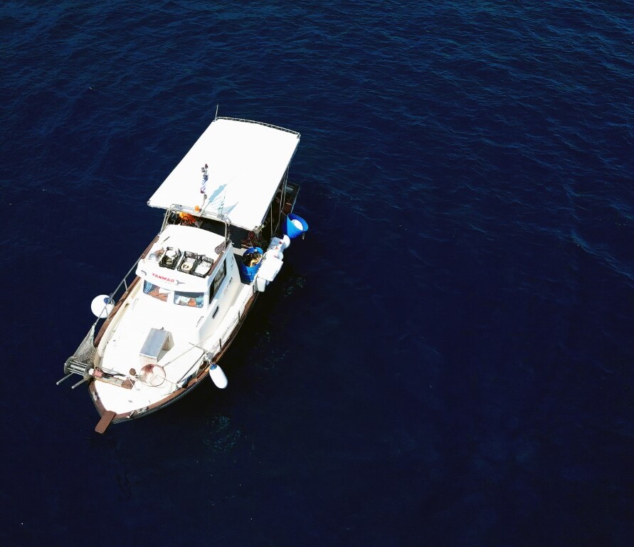 ΤΥΡΟΣ 66 Medium e1729293085244